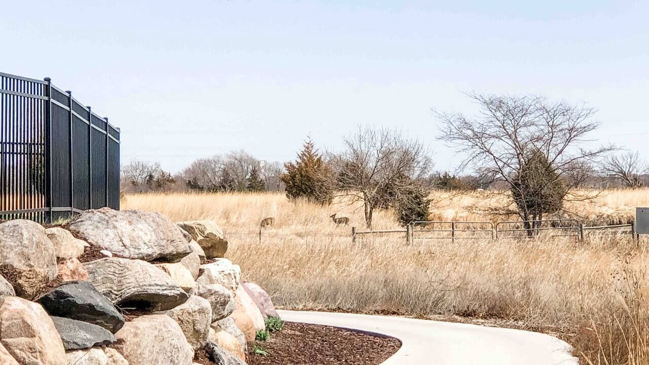Photo of Outdoor in Lincoln