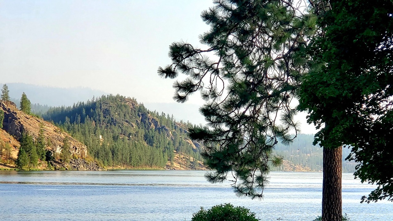 Photo of Outdoor in Tumtum