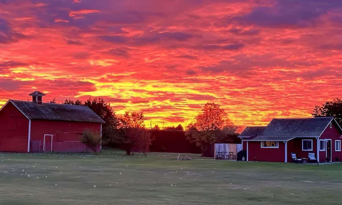 Photo of Outdoor in Sequim