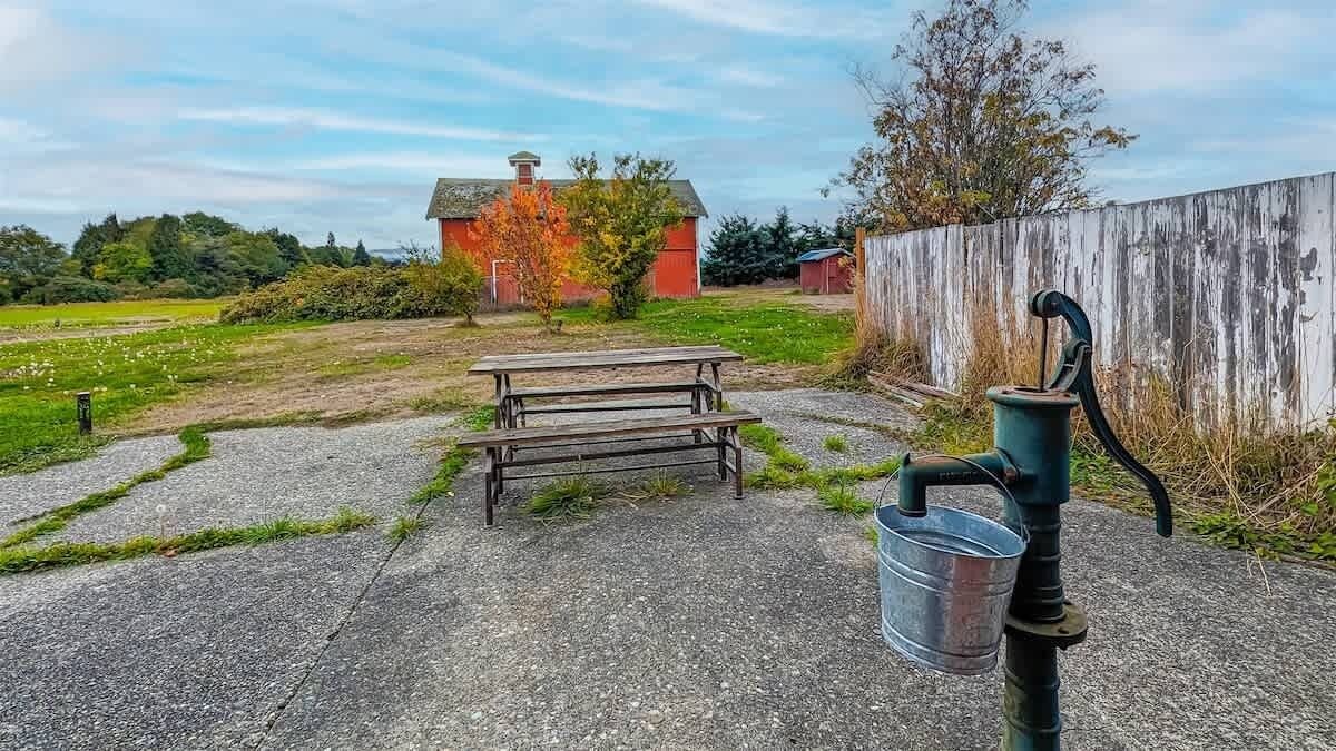 Photo of Outdoor in Sequim