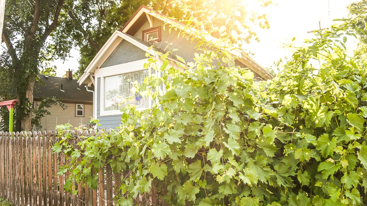 Photo of Outdoor in Loveland