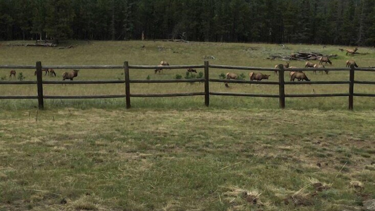 Photo of Outdoor in Angel Fire