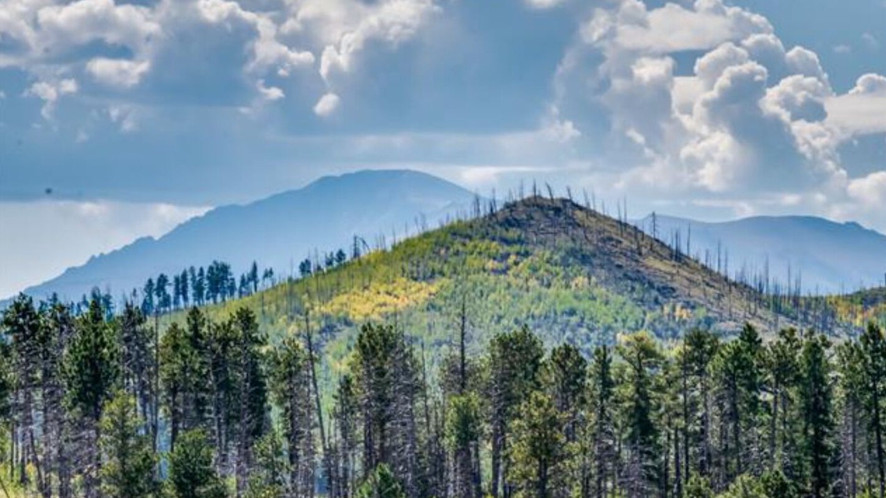 Photo of Others in Teller County