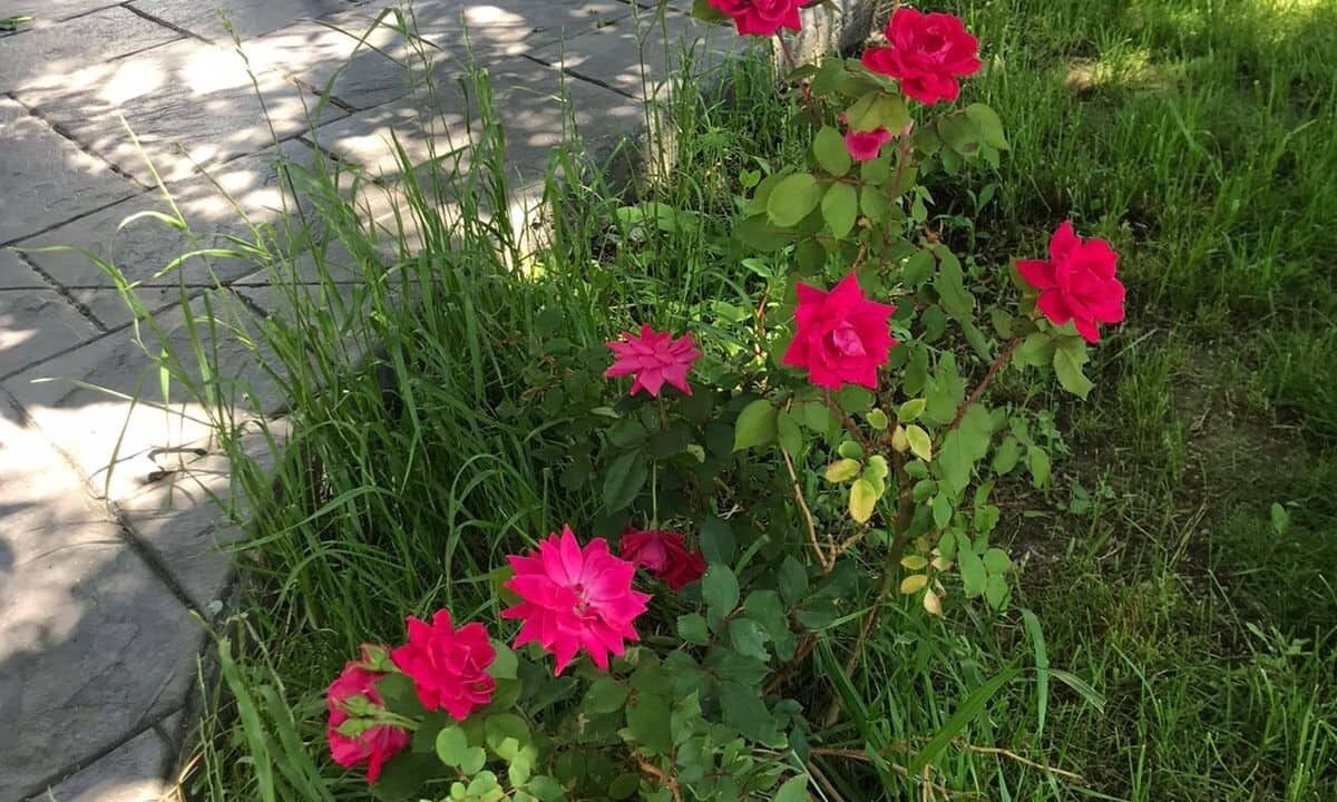 Photo of Outdoor in Brighton