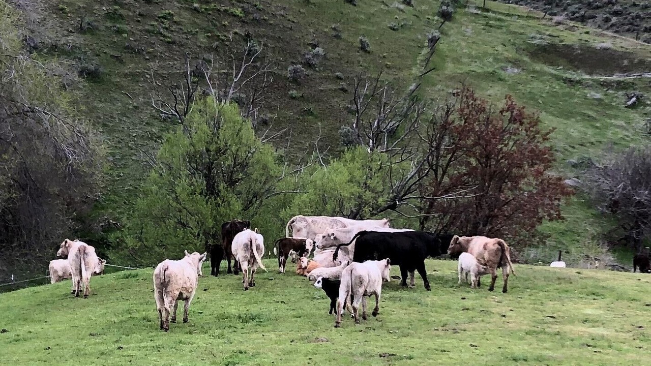 Photo of Others in Gem County