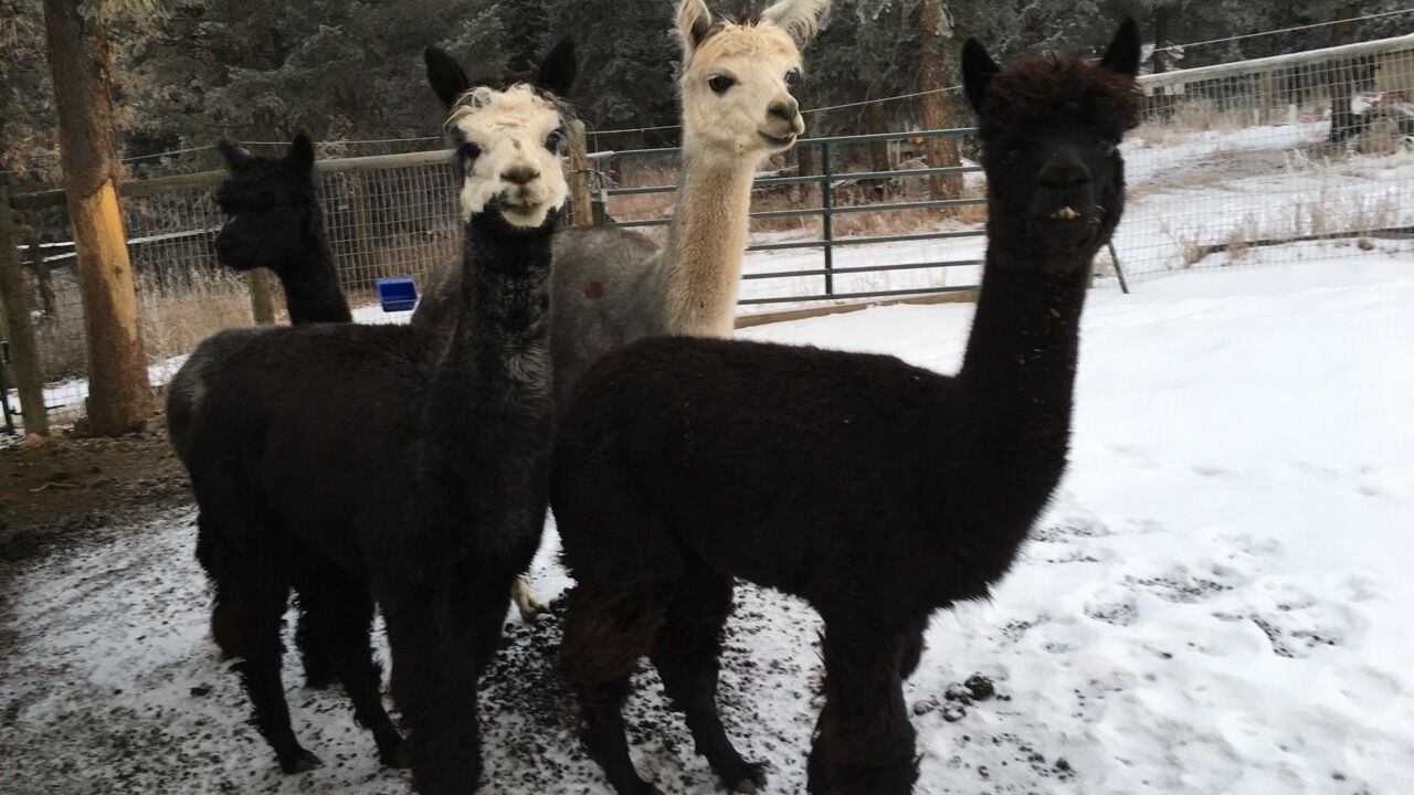 Photo of Others in Littleton