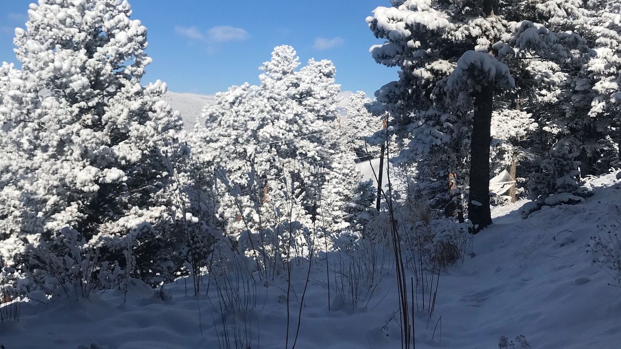 Photo of Others in Coal Creek Canyon