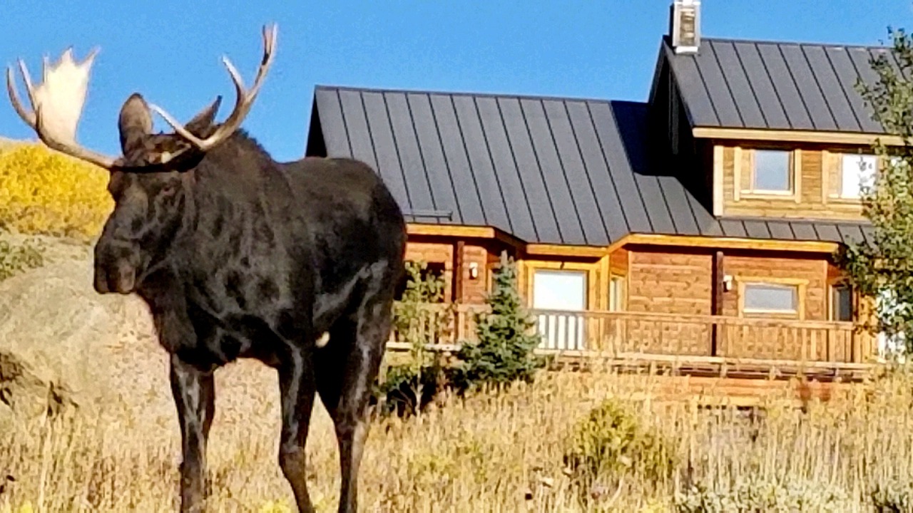 Photo of Others in Silvercreek