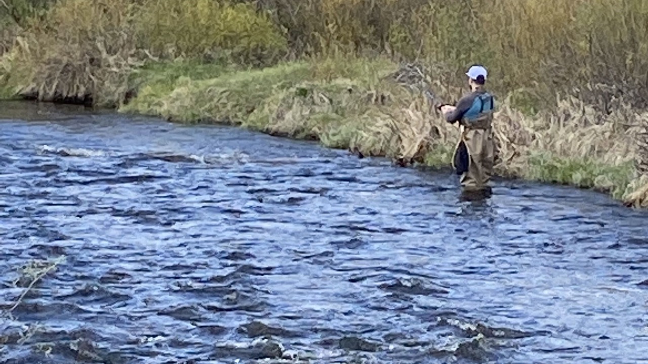 Photo of Others in Silvercreek