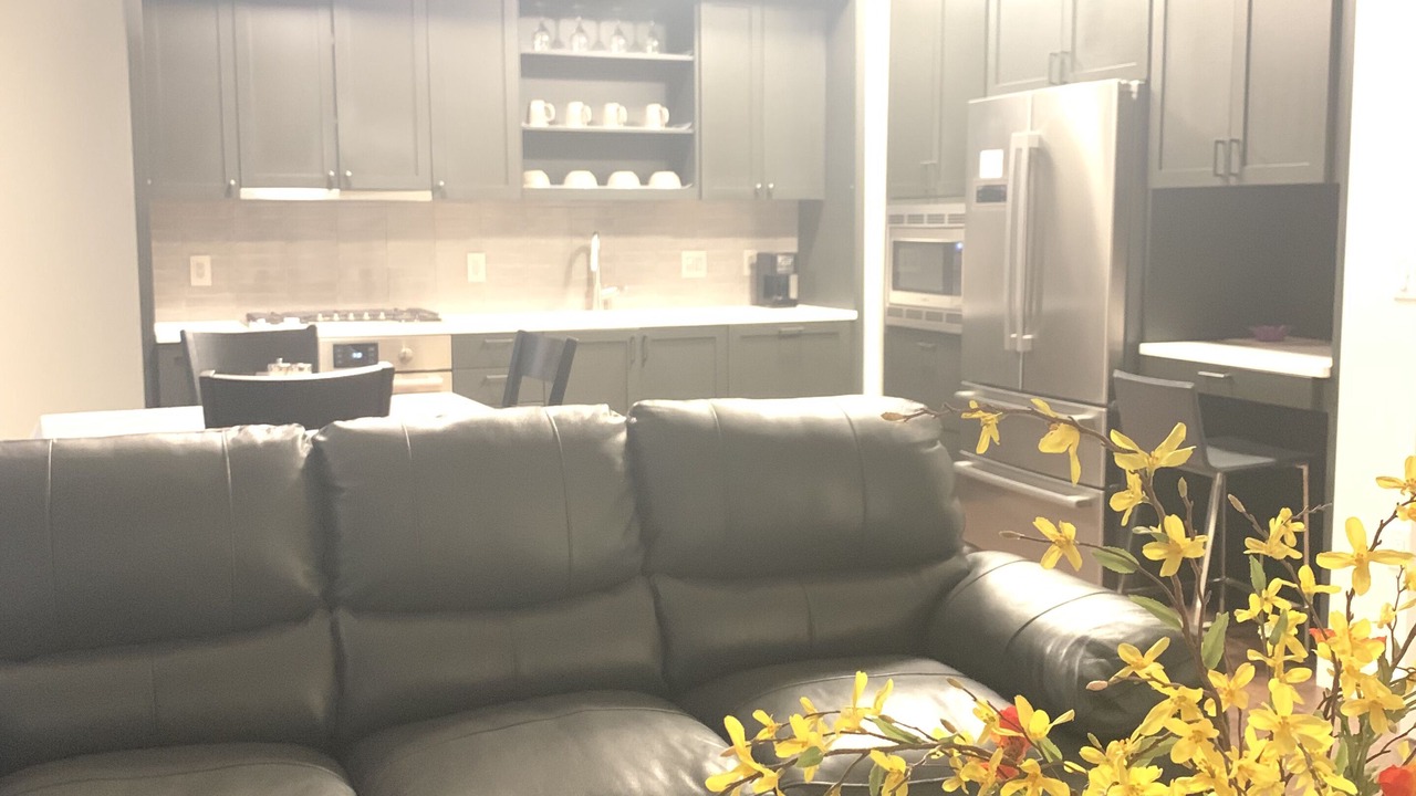 Photo of Livingroom in LoDo