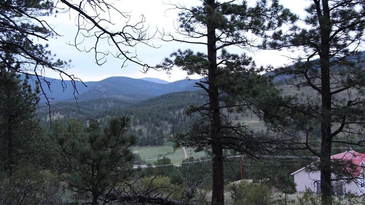 Photo of Outdoor in Grant