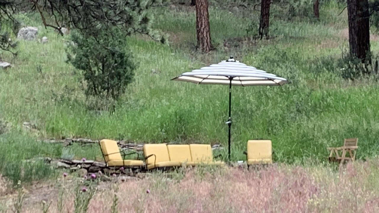 Photo of Outdoor in North Central Evergreen