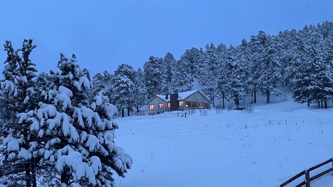 Photo of Outdoor in North Central Evergreen