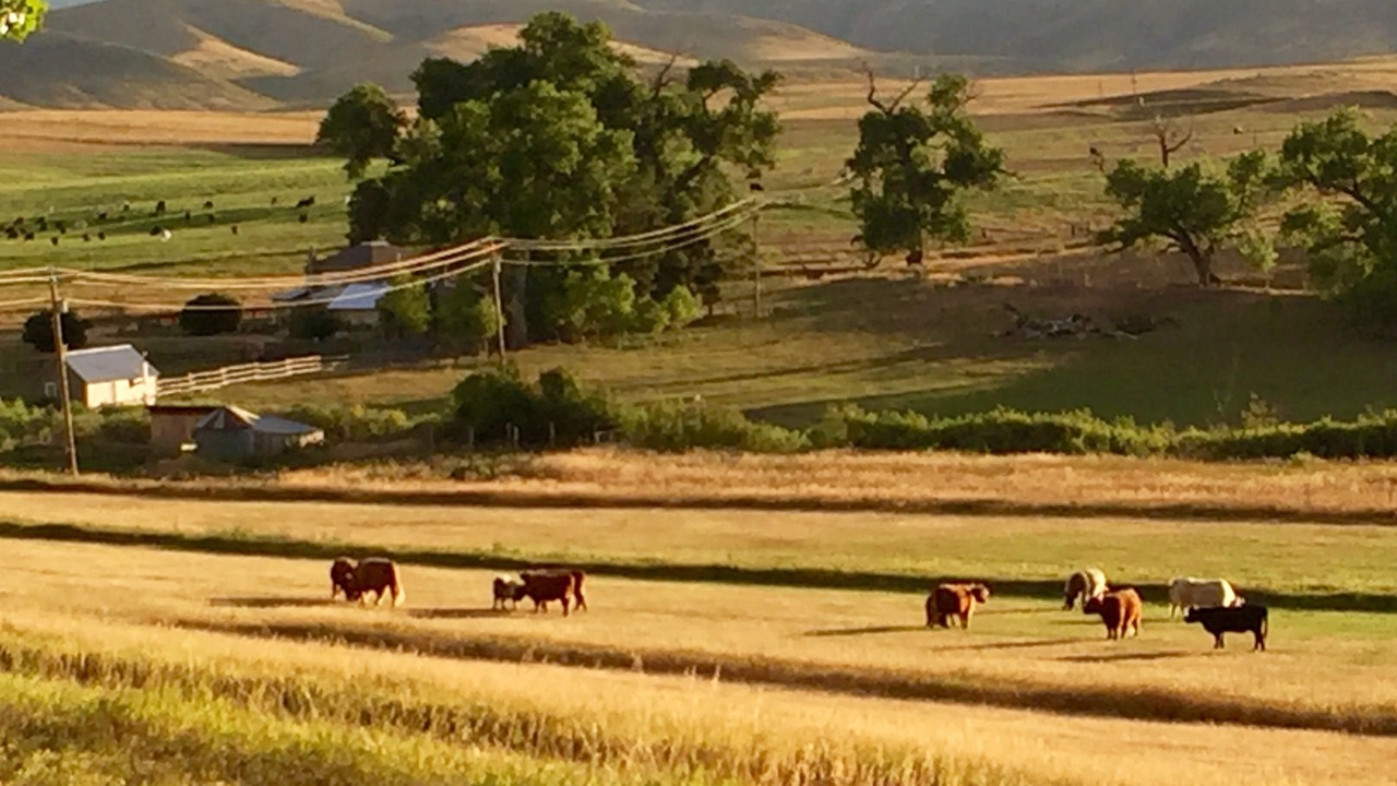 Photo of Others in Livermore
