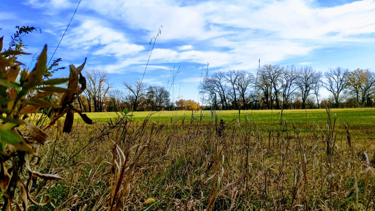 Photo of Others in Seward County