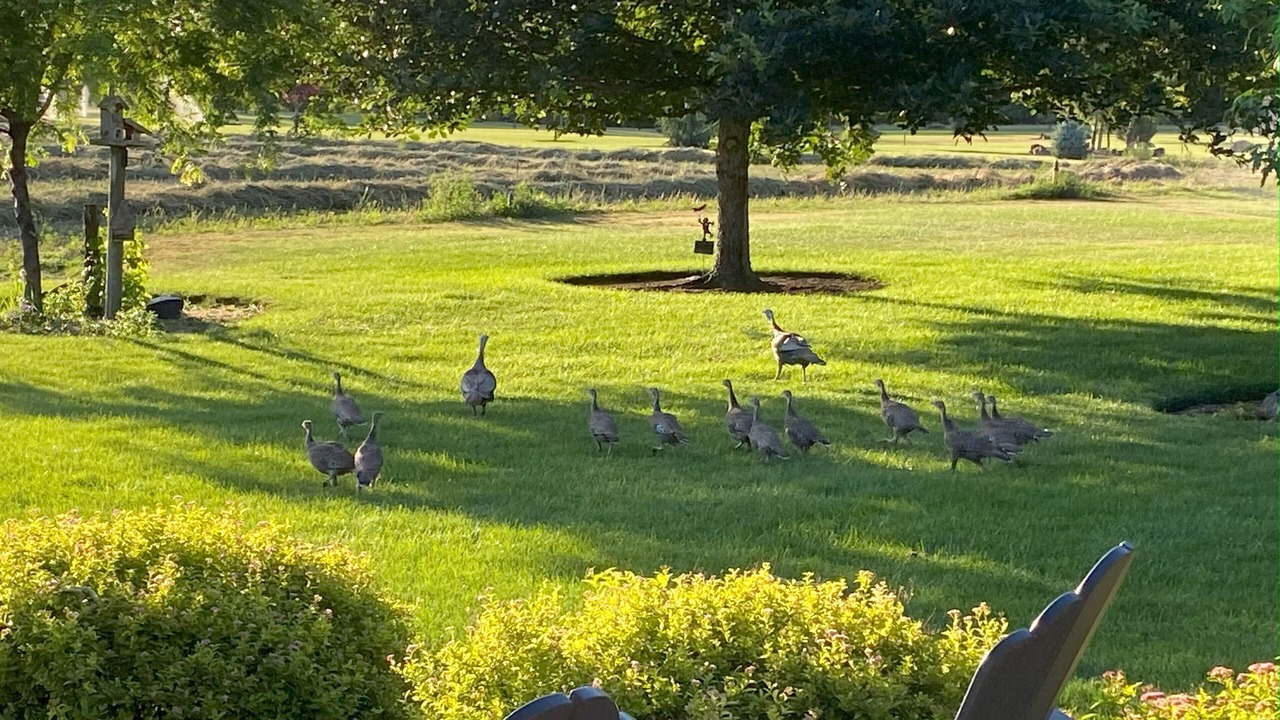 Photo of Others in Walla Walla