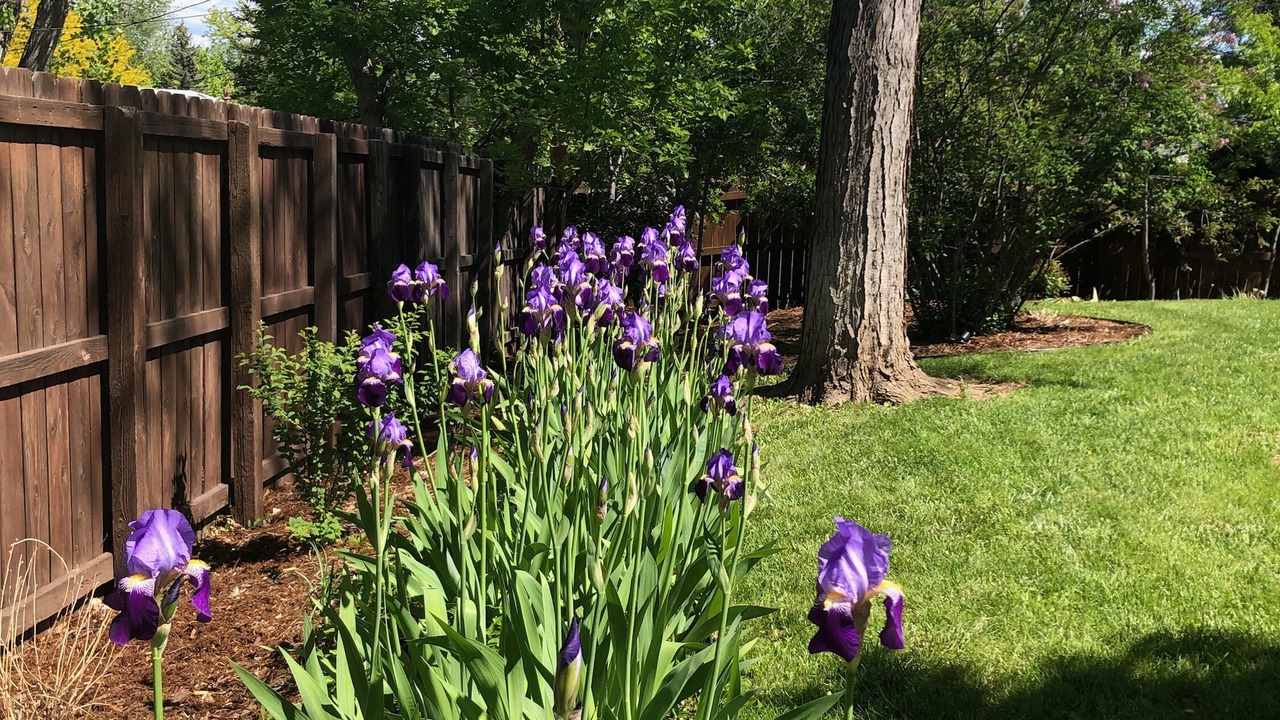 Photo of Outdoor in Baseline Sub