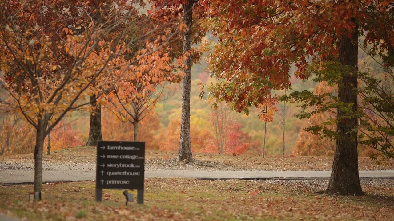 Photo of Outdoor in Mena