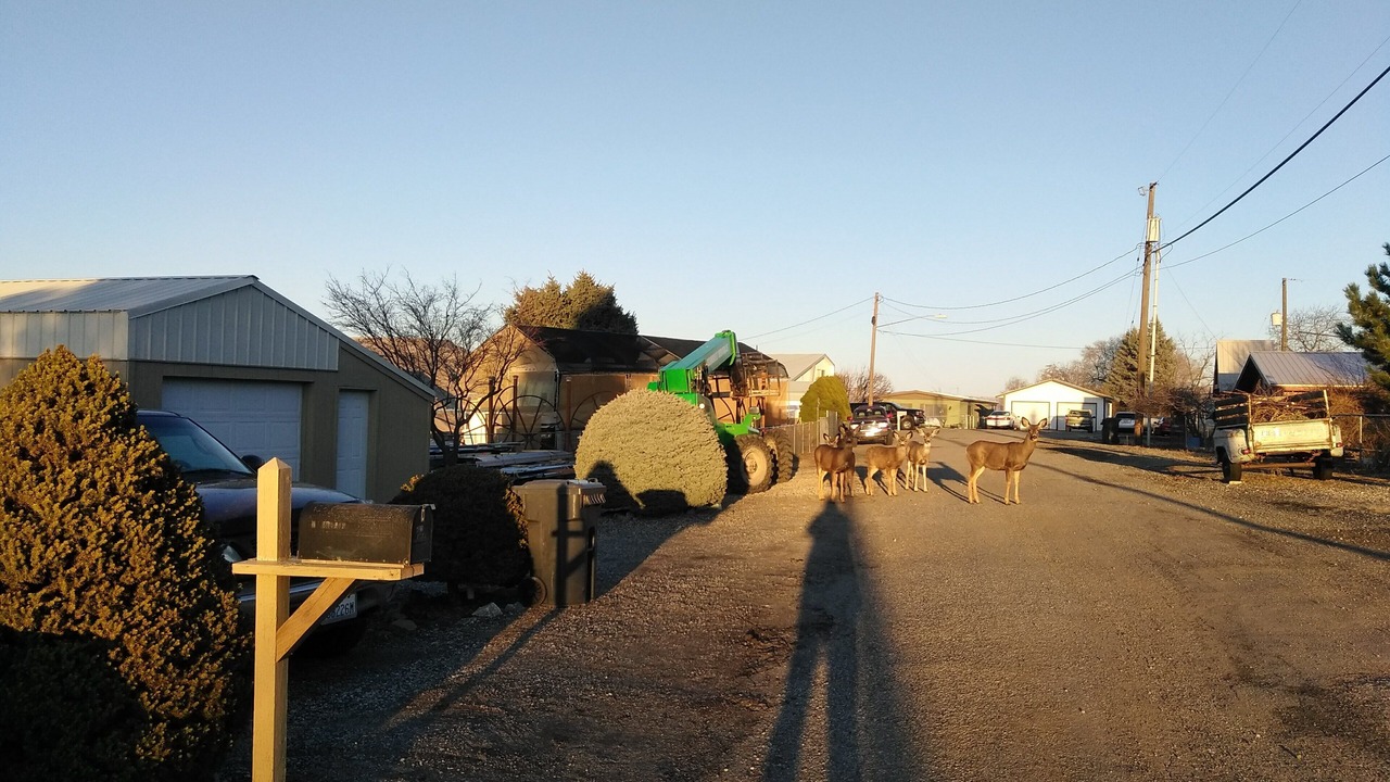 Photo of Others in Grand Coulee