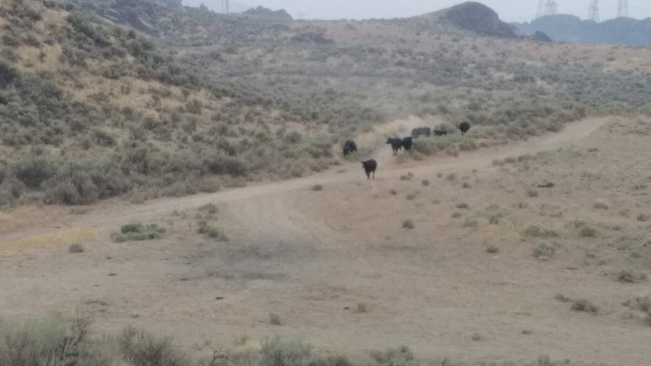 Photo of Others in Grand Coulee