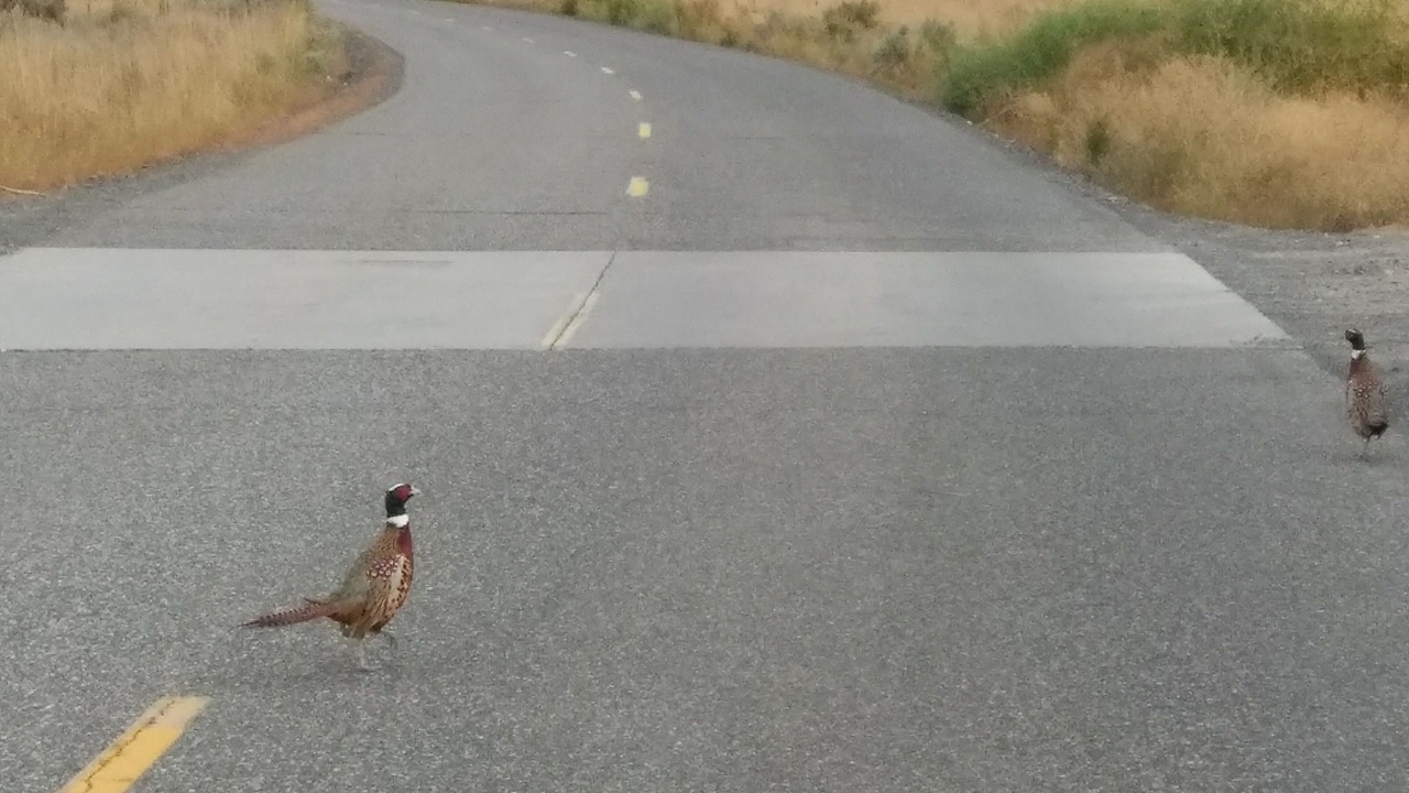 Photo of Others in Grand Coulee