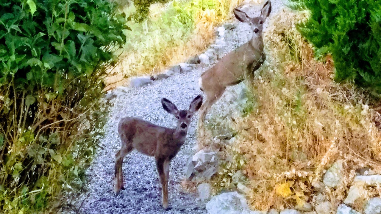 Photo of Others in Grand Coulee