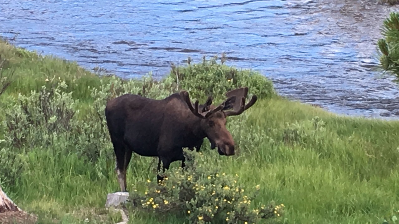Photo of Others in Grand Lake