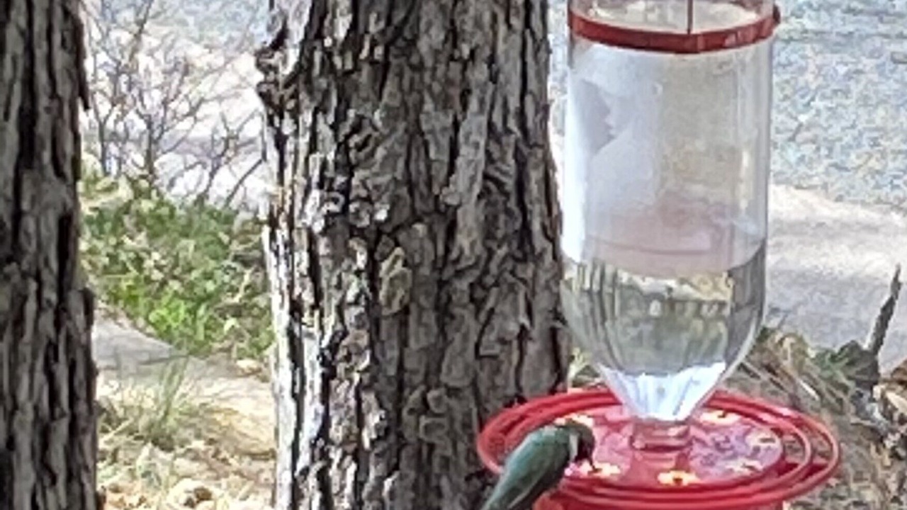 Photo of Others in Ruidoso