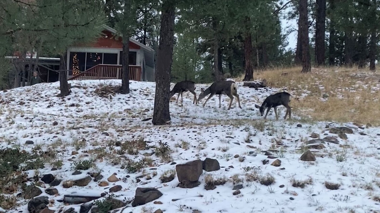 Photo of Others in Ruidoso