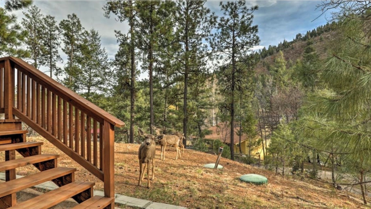 Photo of Outdoor in Ruidoso