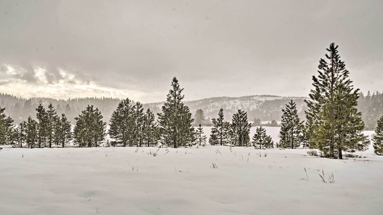 Photo of Outdoor in New Meadows
