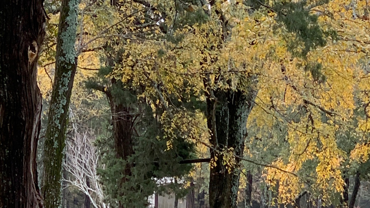 Photo of Others in Gordonville