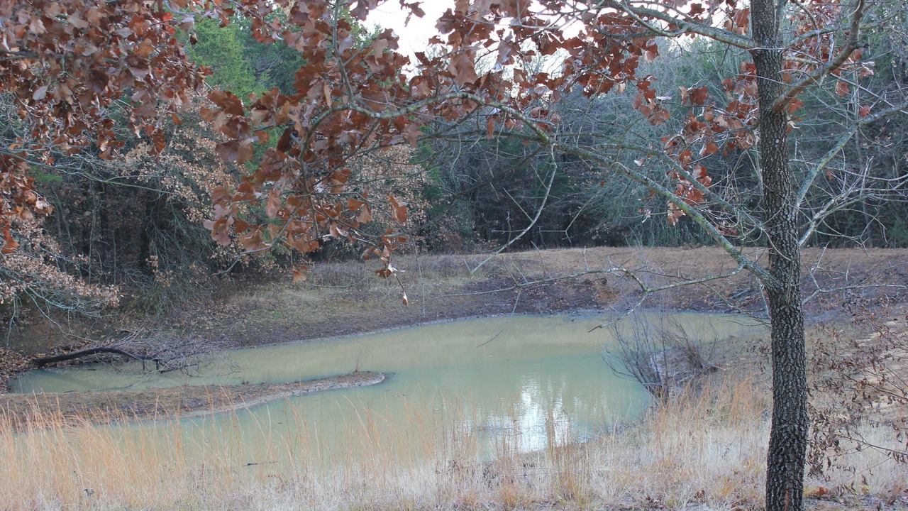 Photo of Others in Gordonville