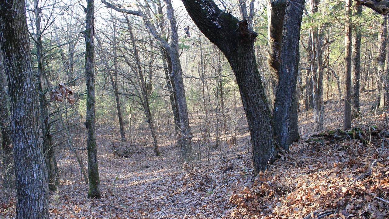 Photo of Others in Gordonville
