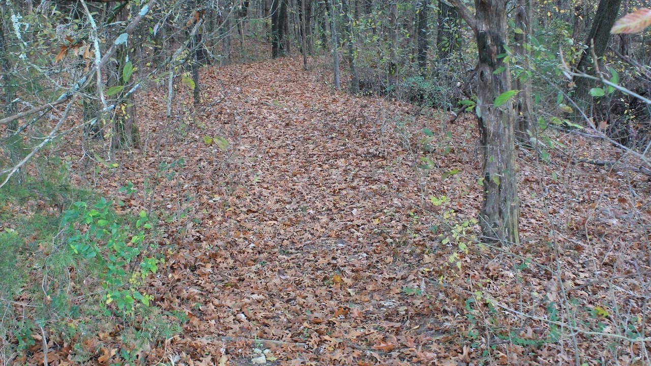 Photo of Others in Gordonville