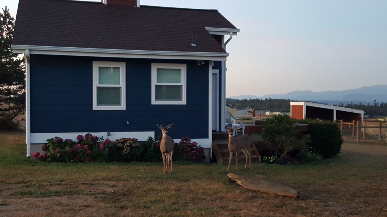 Photo of Others in Oak Harbor