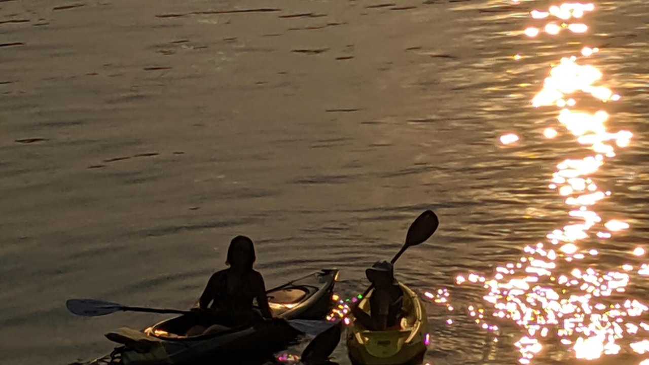 Photo of Outdoor in Newport