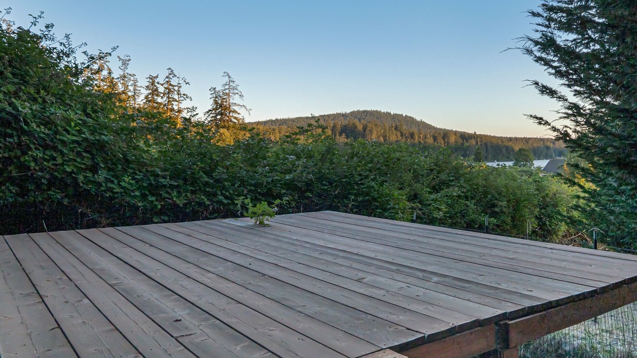 Photo of Others in Roche Harbor