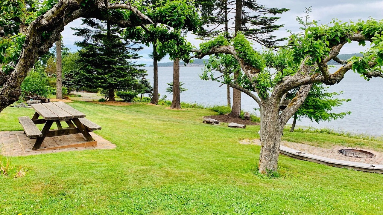 Photo of Others in Sequim