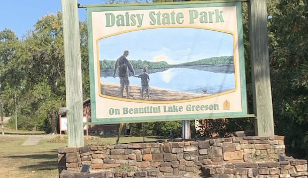 Photo of Others in Daisy