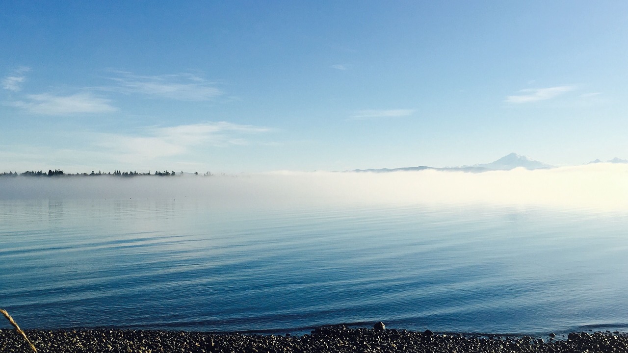 Photo of Others in Lummi Island