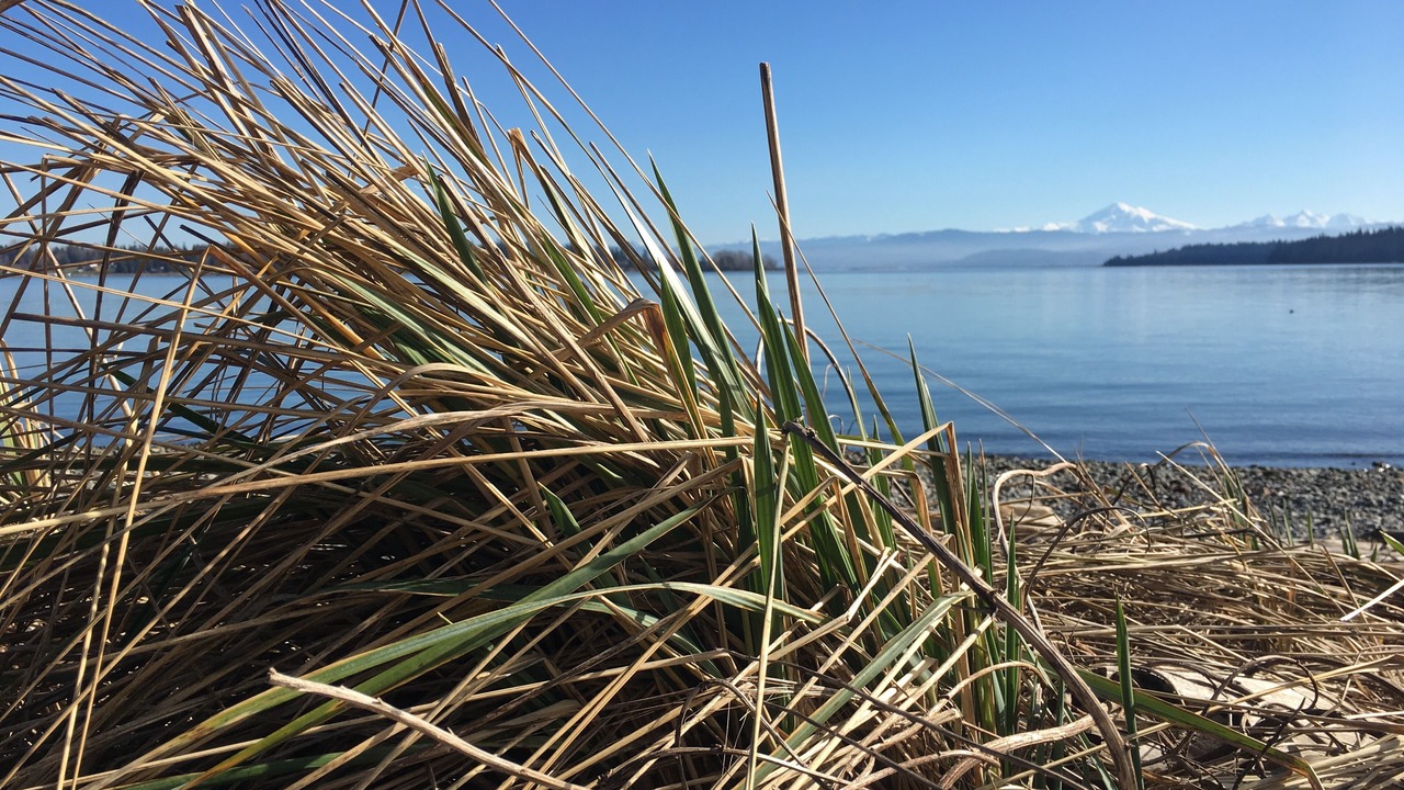 Photo of Others in Lummi Island