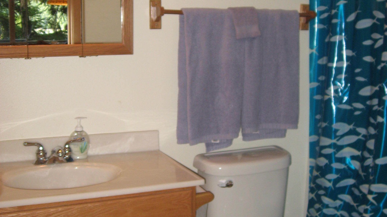 Photo of Bathroom in Roche Harbor