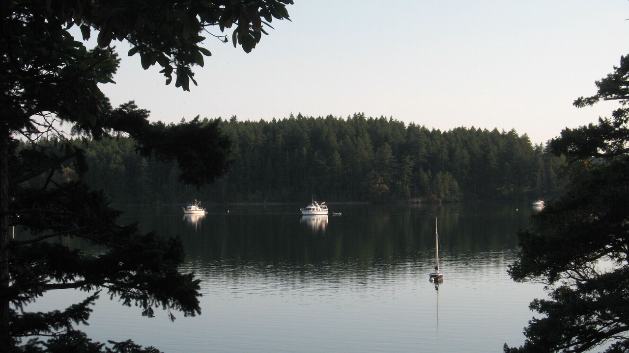 Photo of Others in Roche Harbor