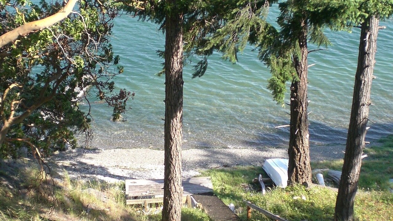 Photo of Others in Roche Harbor