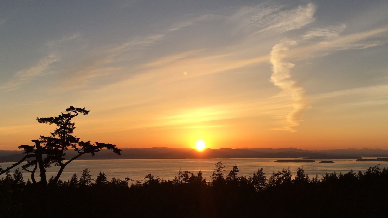 Photo of Others in Friday Harbor