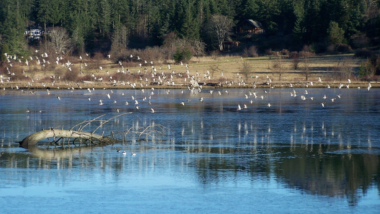 Photo of Others in Deer Harbor