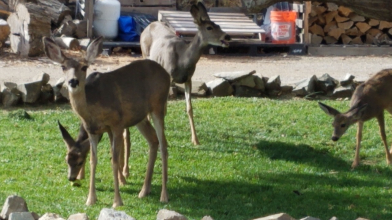 Photo of Others in Huntington