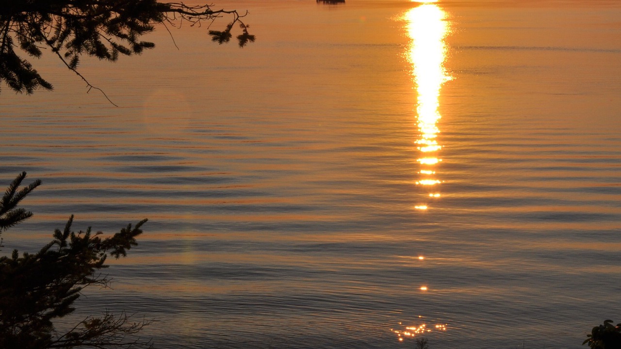 Photo of Others in Friday Harbor