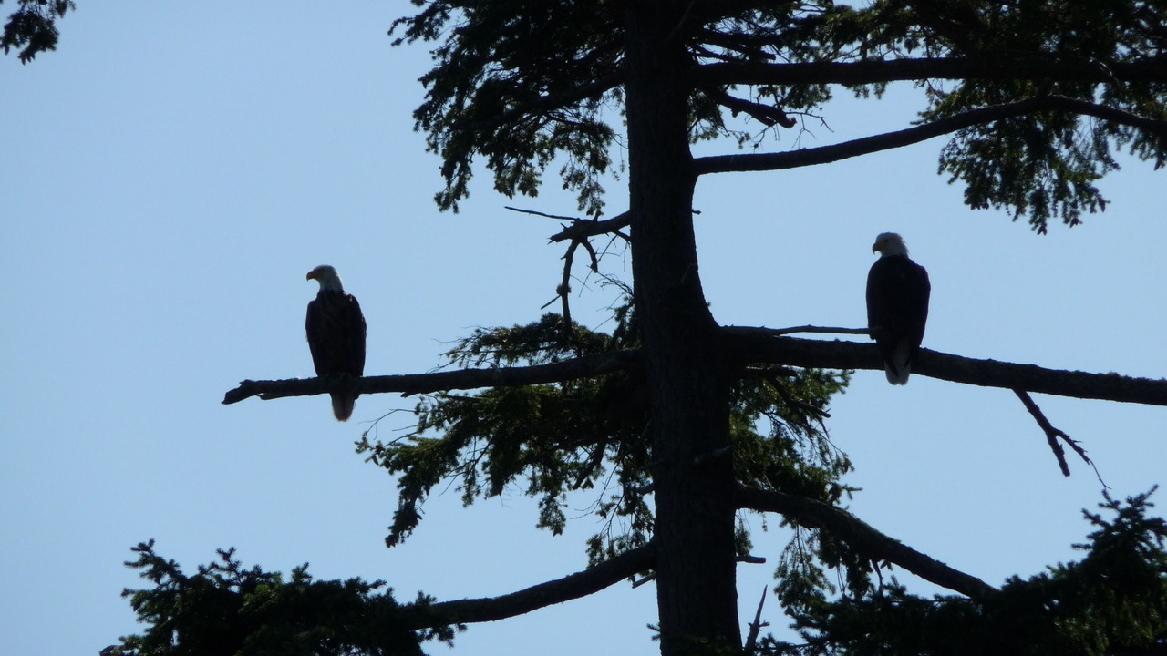 Photo of Others in Friday Harbor